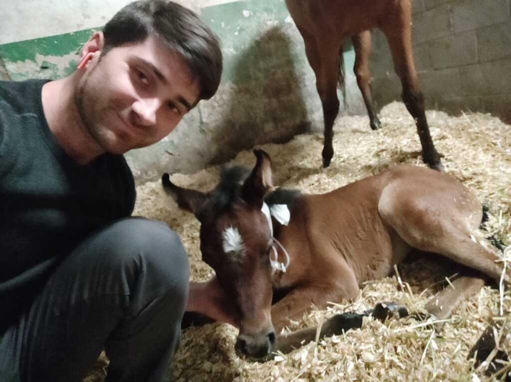 Galería Algara Centro Veterinario