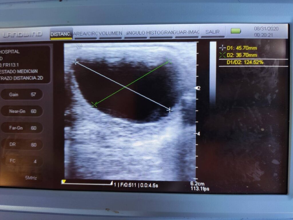 Galería Algara Centro Veterinario