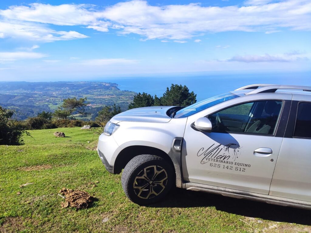 Galería Algara Centro Veterinario