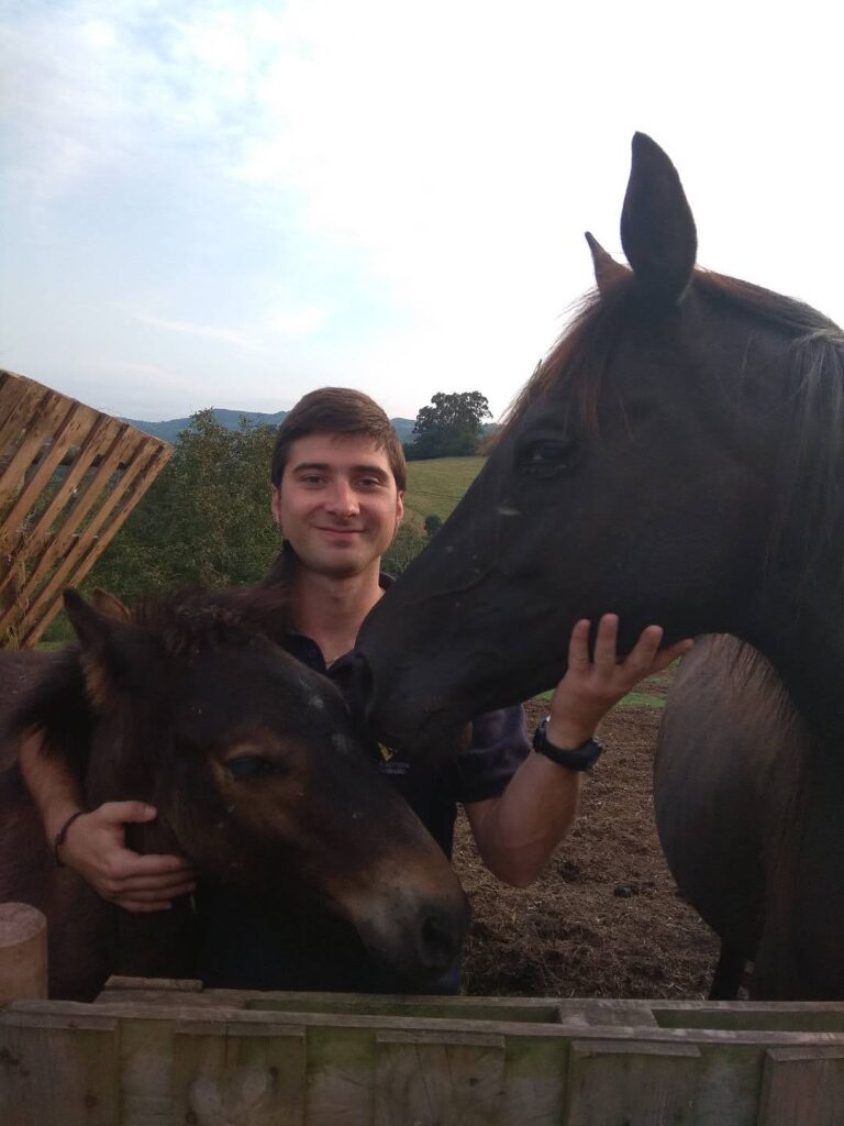 Galería Algara Centro Veterinario