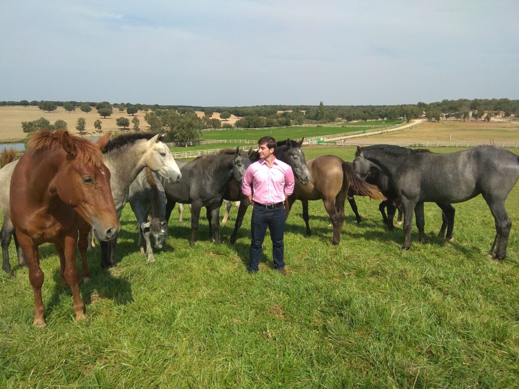 Galería Algara Centro Veterinario
