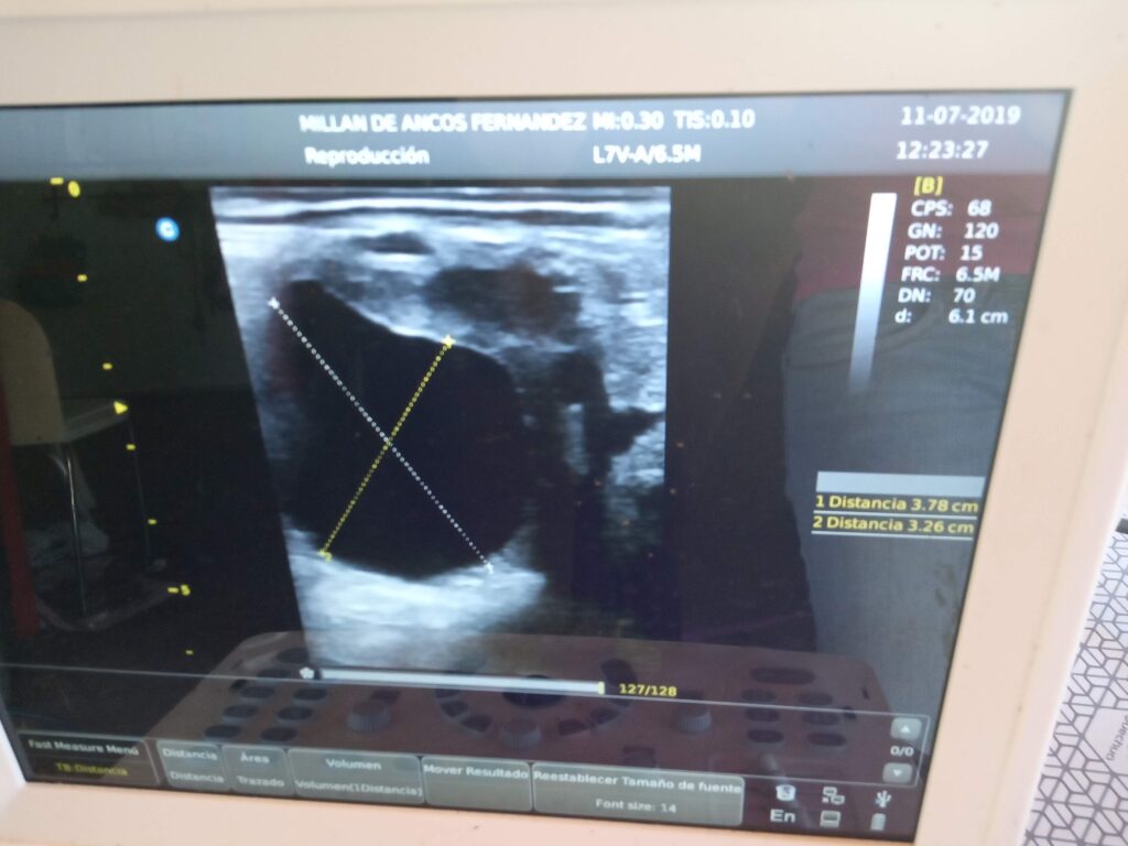 Galería Algara Centro Veterinario