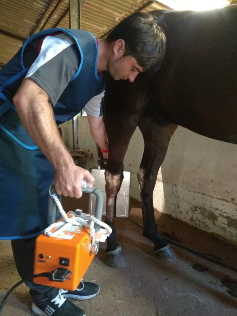 Galería Algara Centro Veterinario