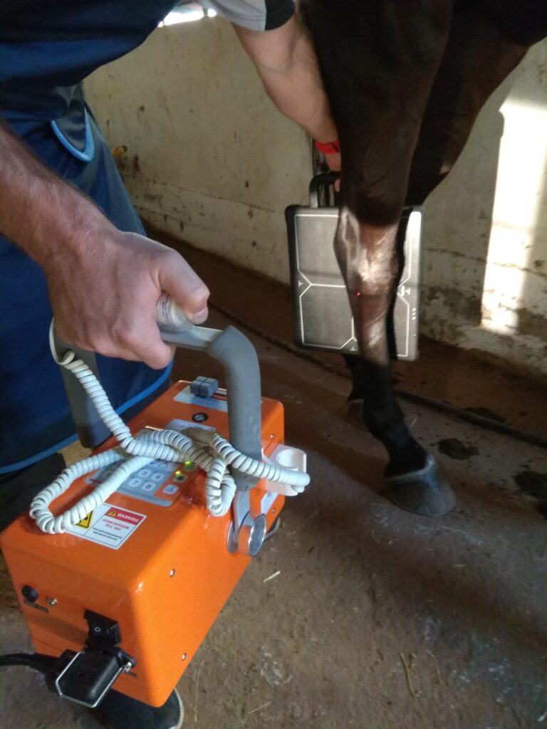 Galería Algara Centro Veterinario