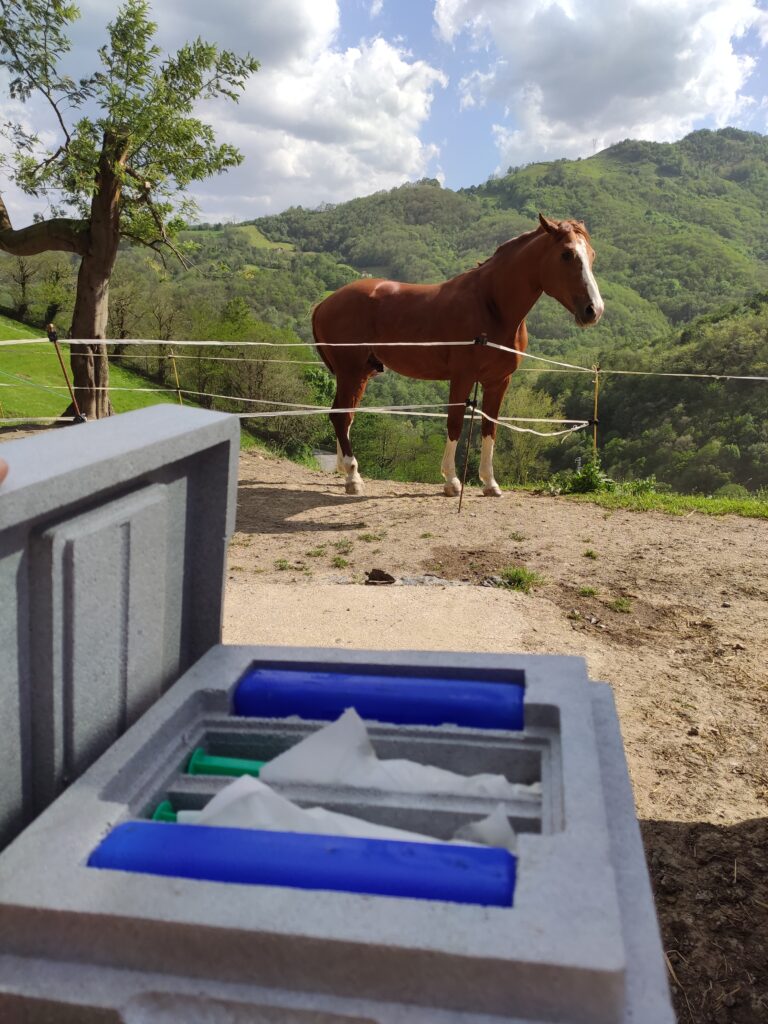 Galería Algara Centro Veterinario
