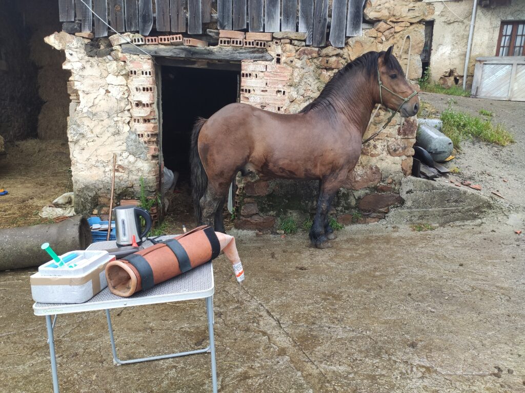 Galería Algara Centro Veterinario