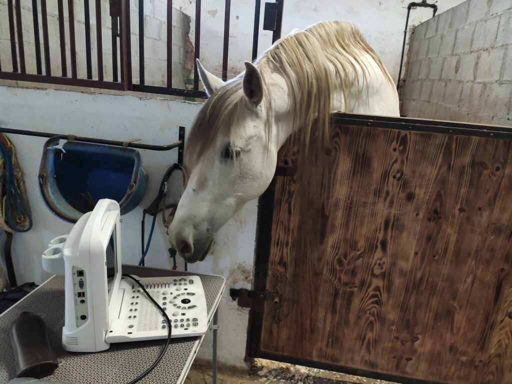 Galería Algara Centro Veterinario