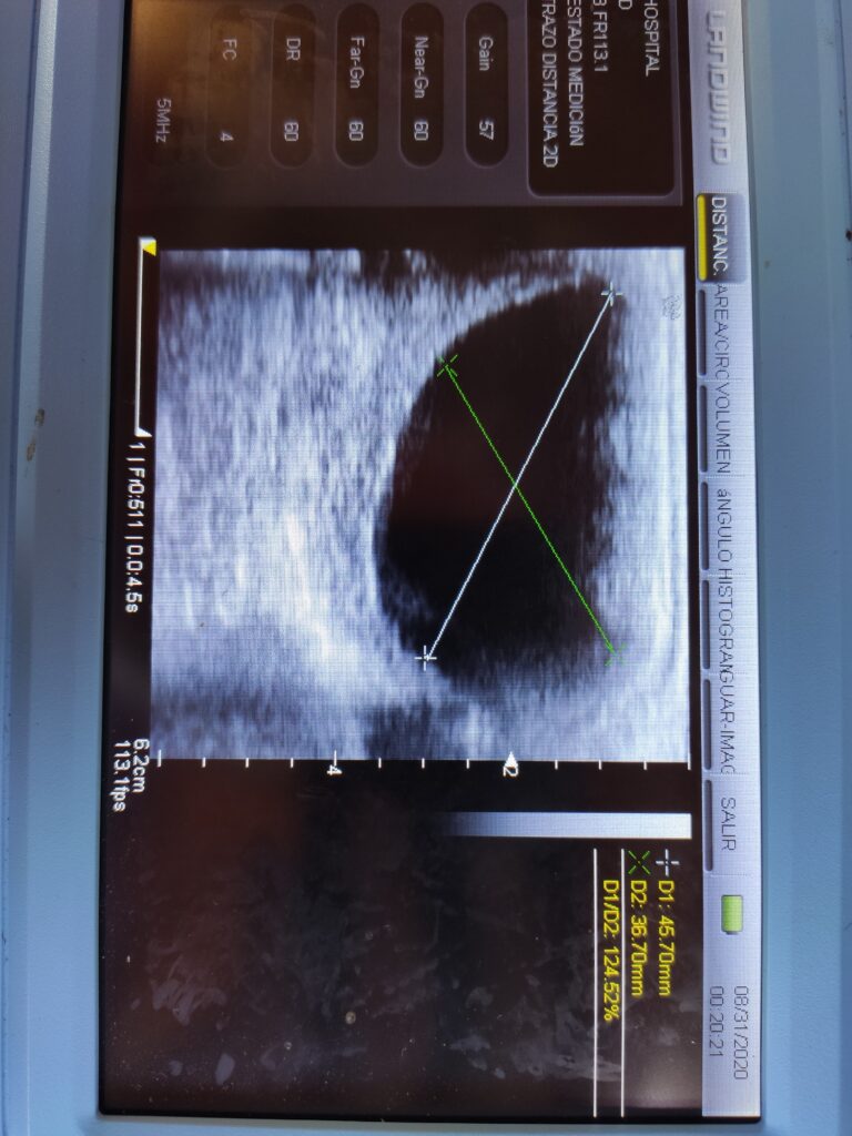 Galería Algara Centro Veterinario