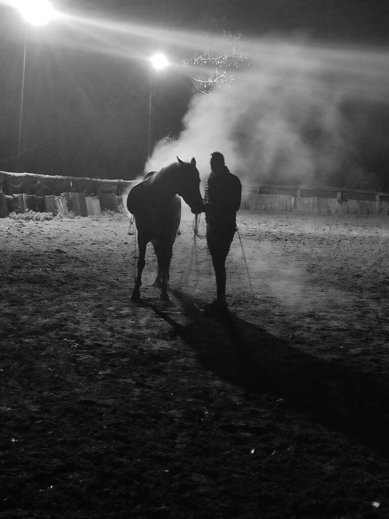 Galería Algara Centro Veterinario