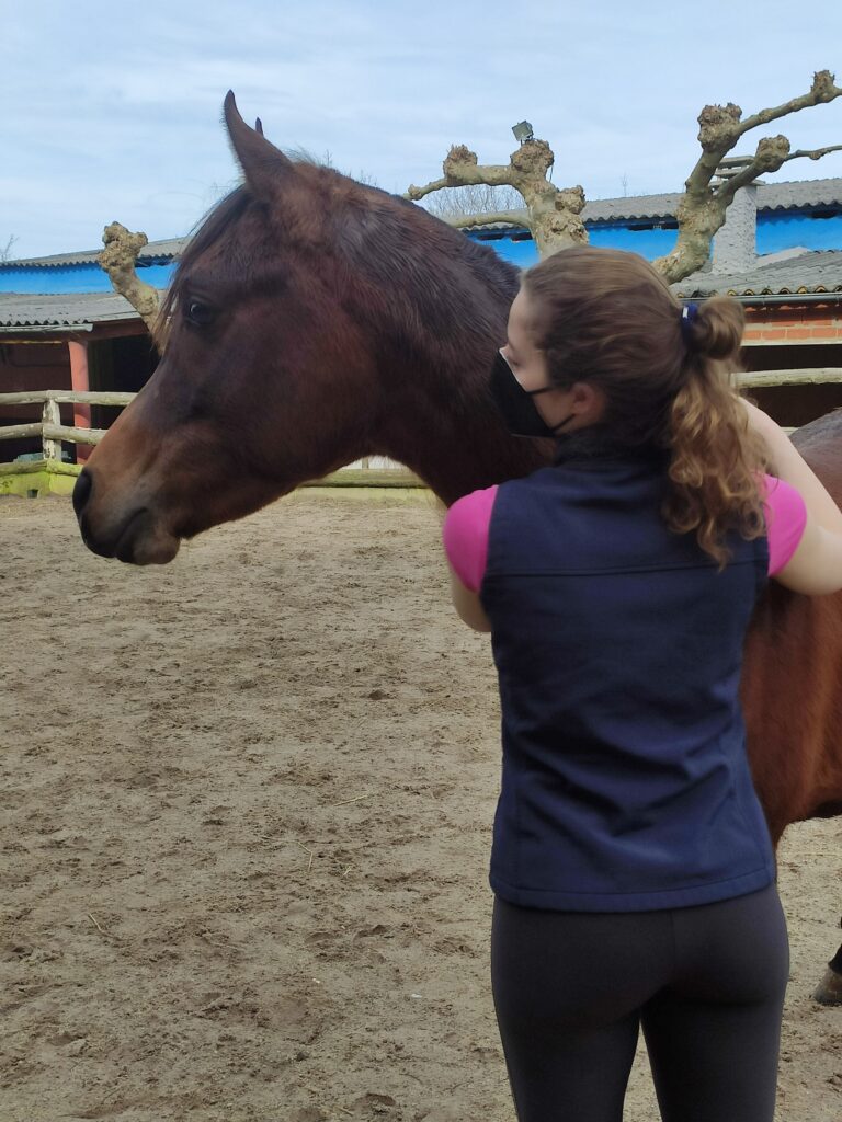 Galería Algara Centro Veterinario