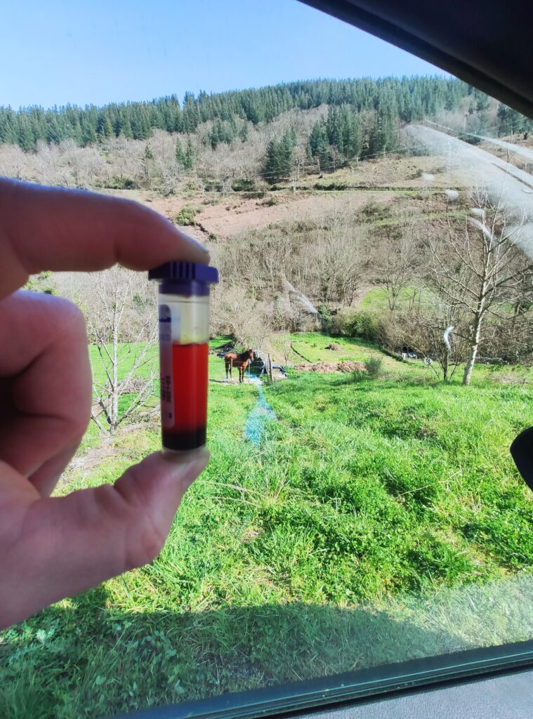 Galería Algara Centro Veterinario