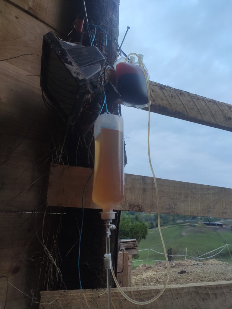 Galería Algara Centro Veterinario