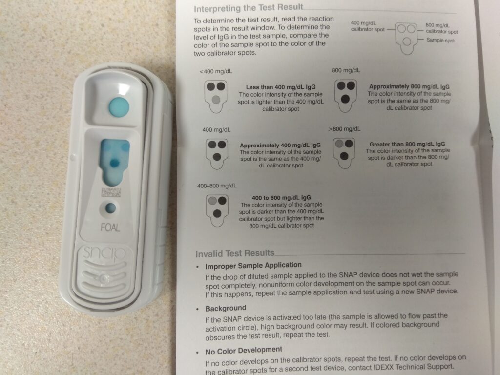 Galería Algara Centro Veterinario