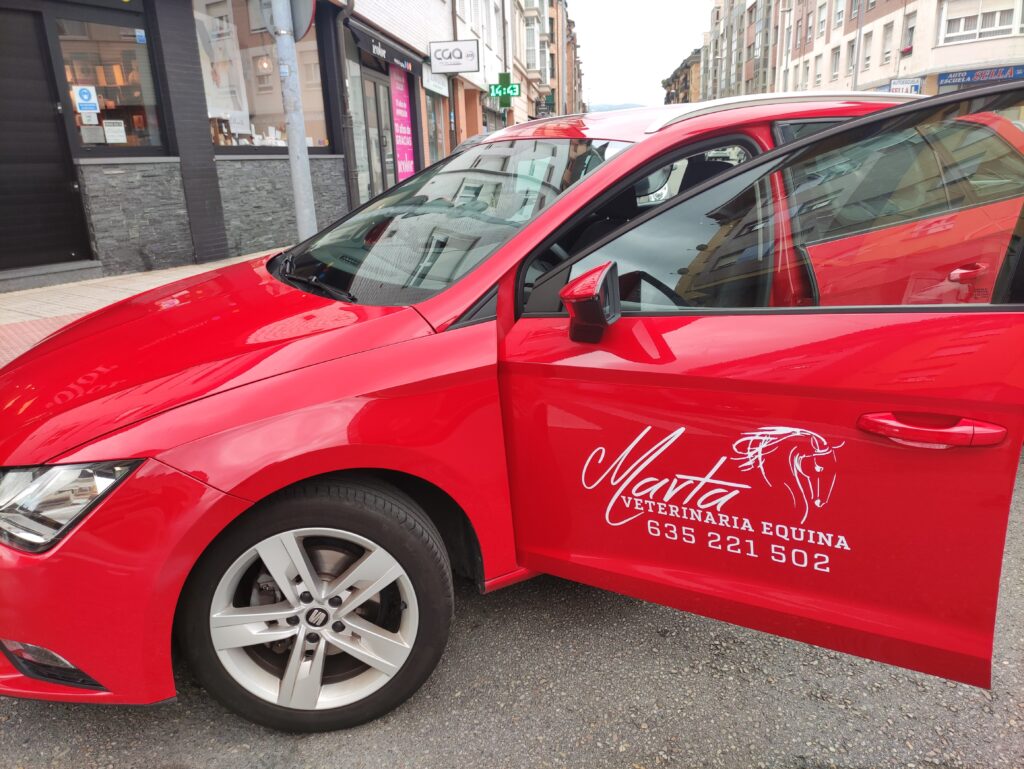 Galería Algara Centro Veterinario