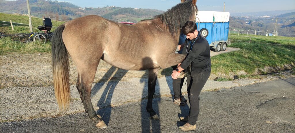 Galería Algara Centro Veterinario
