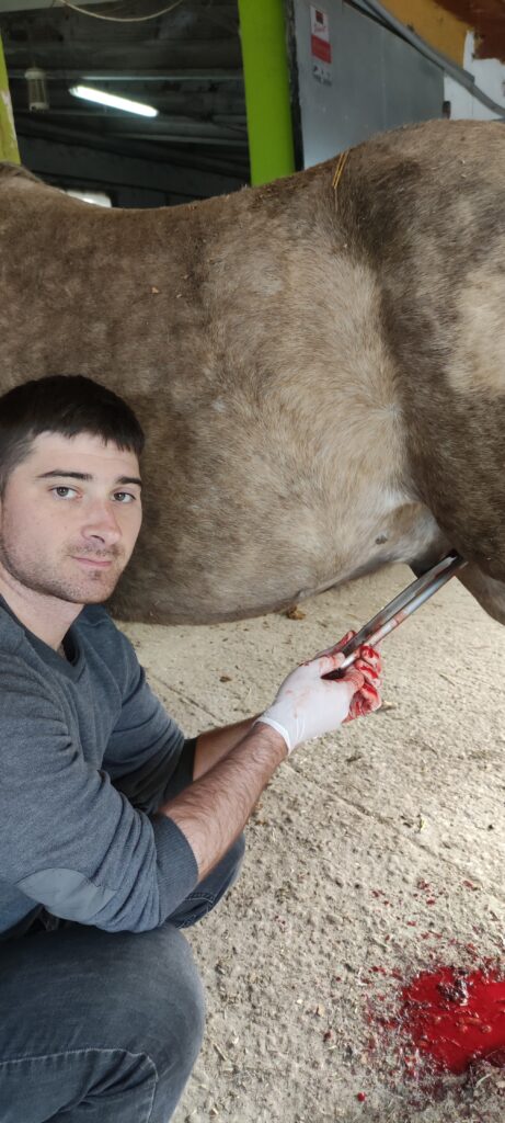 Galería Algara Centro Veterinario