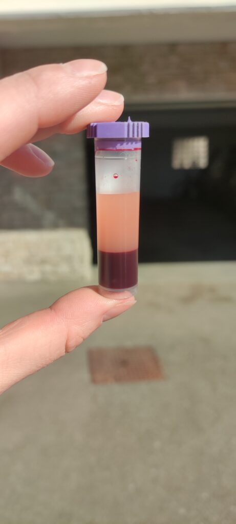 Galería Algara Centro Veterinario