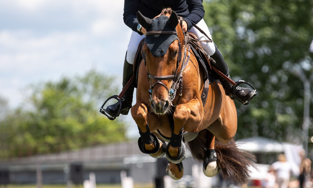 Caballo de competición realizando saltos