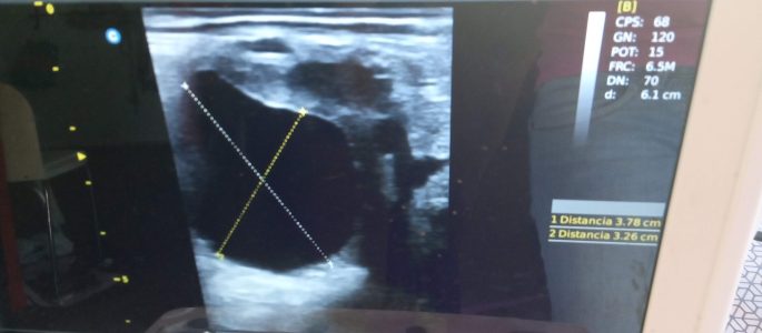 Galería Algara Centro Veterinario